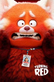 Turning Red (2021) Sinhala Subtitles